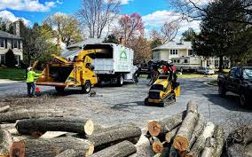 Best Tree Preservation Services  in Lmdale, PA